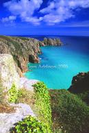 tropical south coast